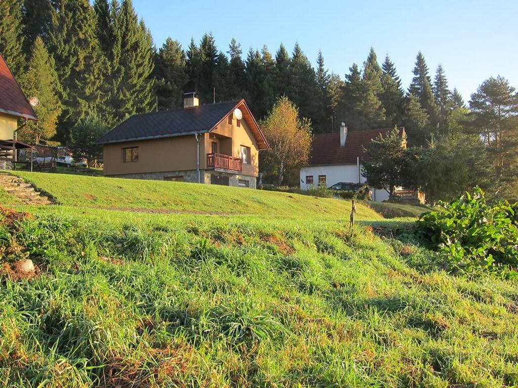 Chata Ostruzina 10+2 Lipno nad Vltavou Kültér fotó