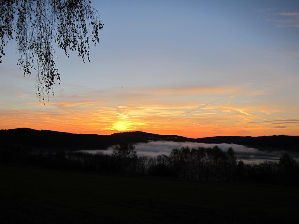 Chata Ostruzina 10+2 Lipno nad Vltavou Szoba fotó